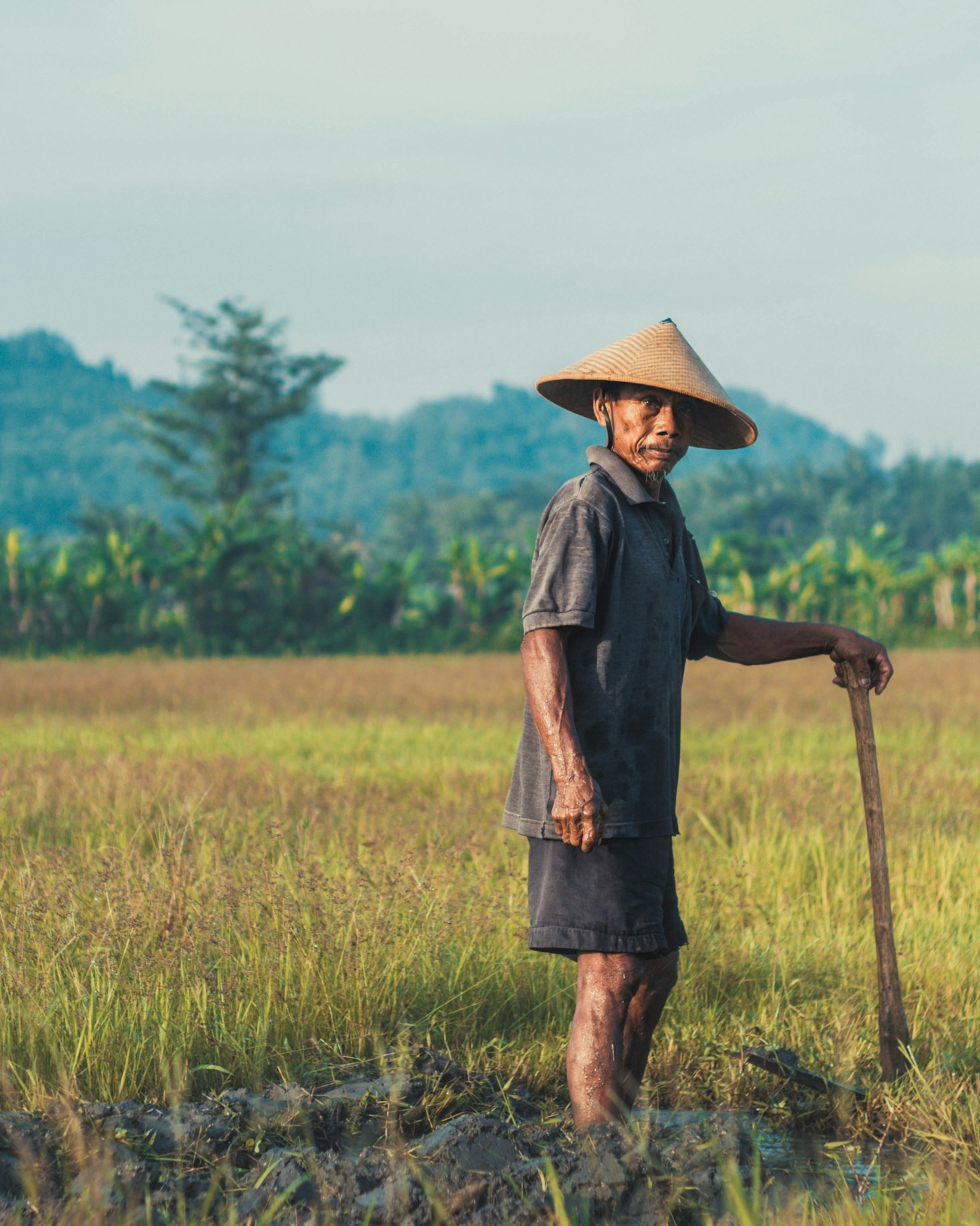 Stories of Everyday Heroes Making a Real Difference